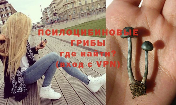 прущие крисы Алексеевка